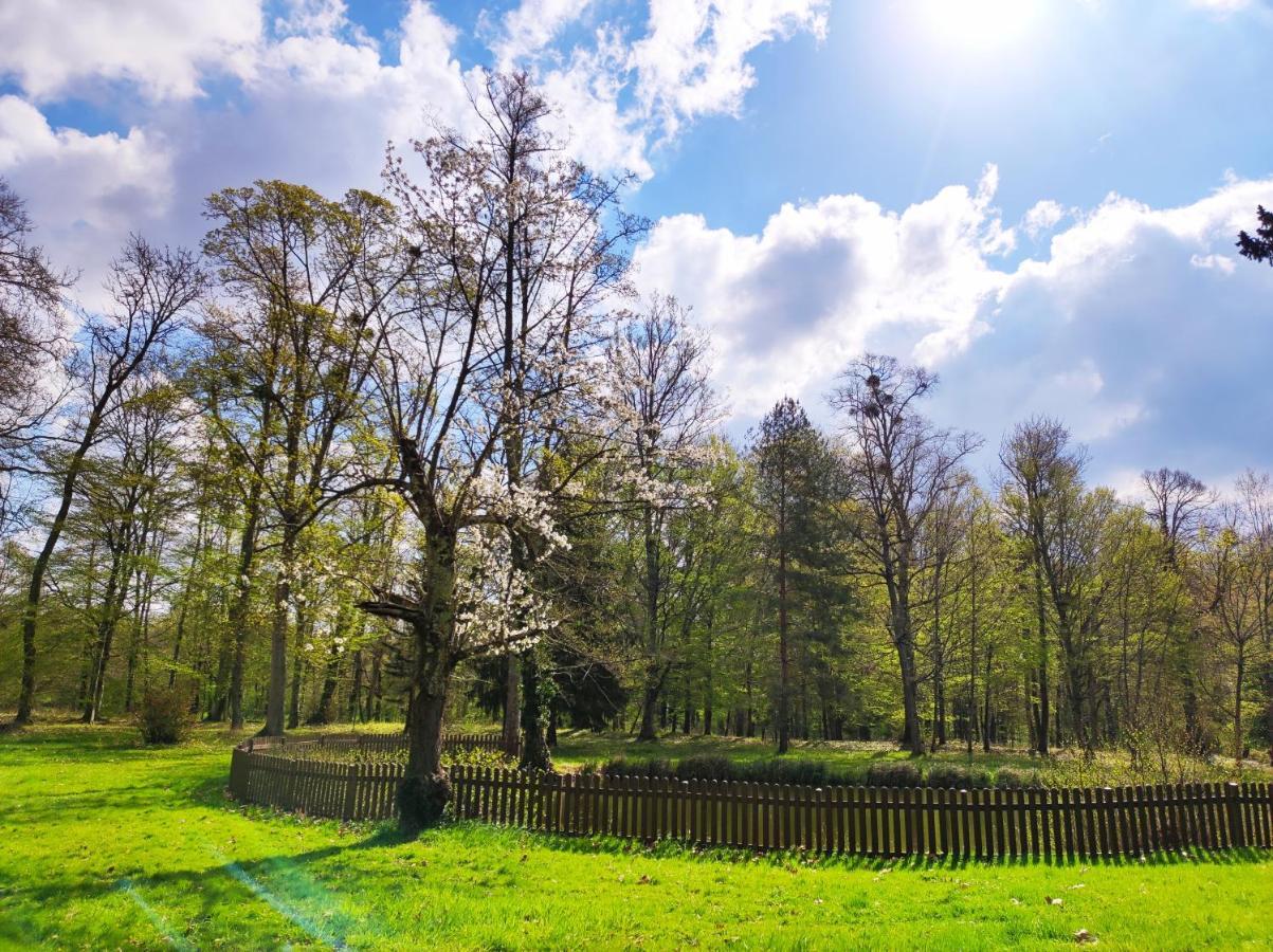 Chambres D'Hotes Du Domaine De L'Isle Civray-de-Touraine 外观 照片